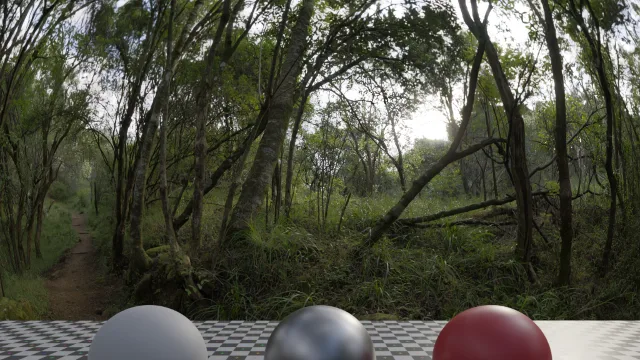 Monk's forest