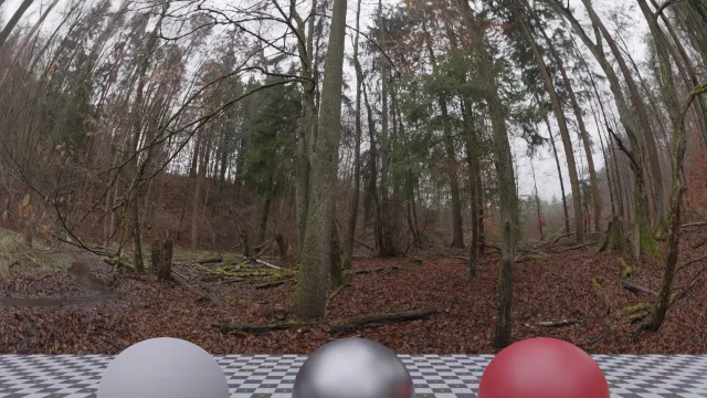 Muddy Autumn Forest