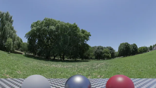 Noon Grass