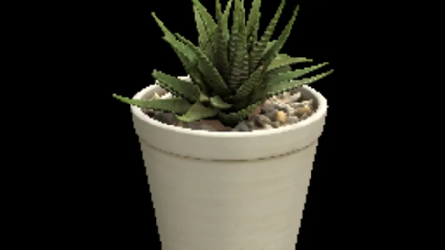 Potted Plant 04