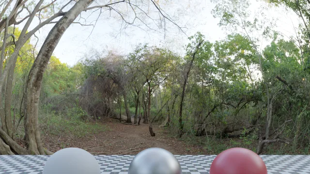 River Walk 2