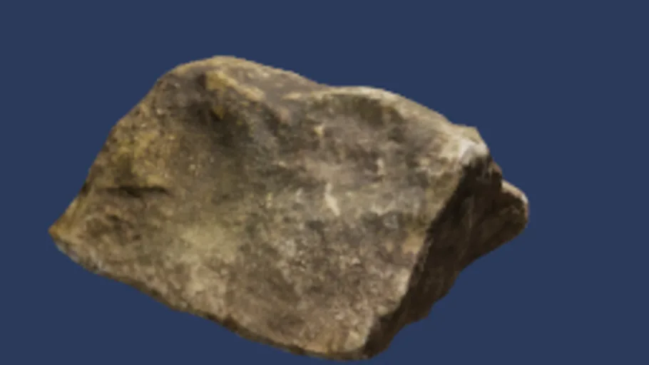 Rock Moss 01a