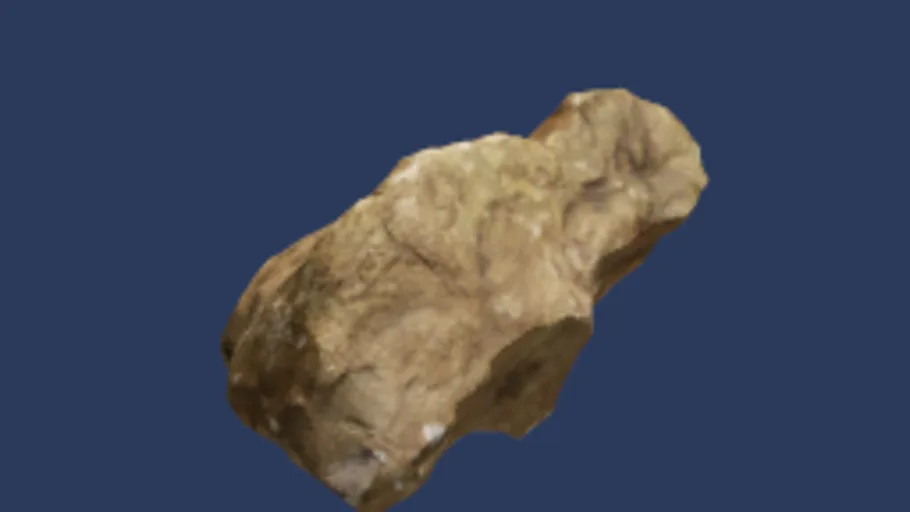 Rock Moss 01b