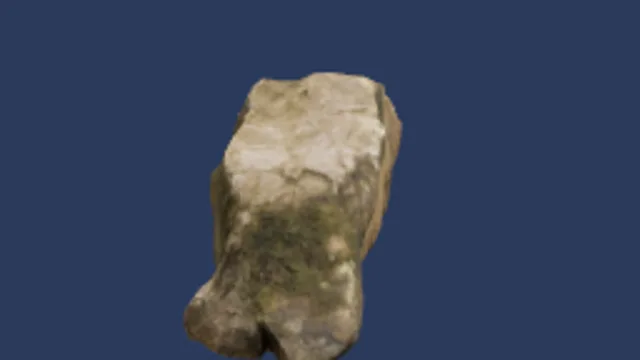 Rock Moss 01c