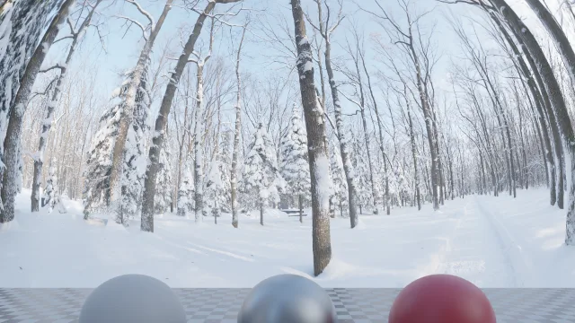 Snowy Forest Path 01