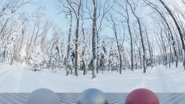 Snowy Forest Path 02