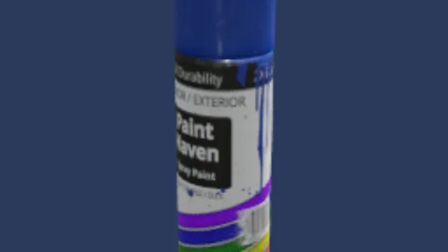 Spray Paint Bottle