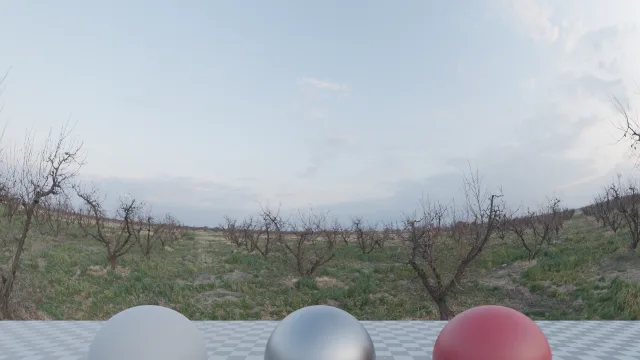 Winter Orchard