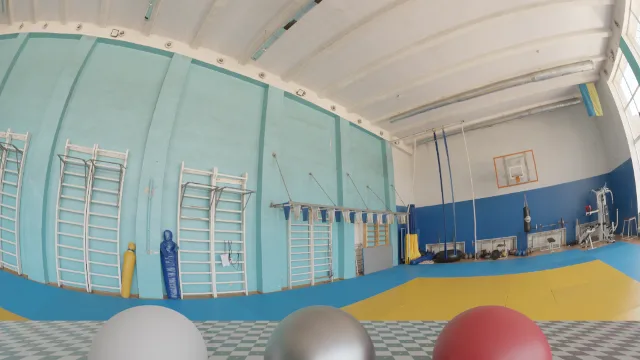 Wrestling Gym