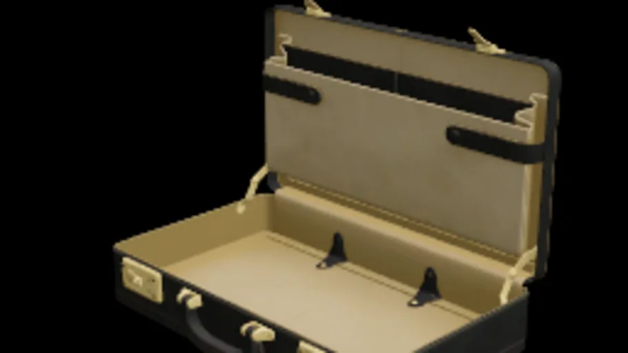 Money Filled Briefcase