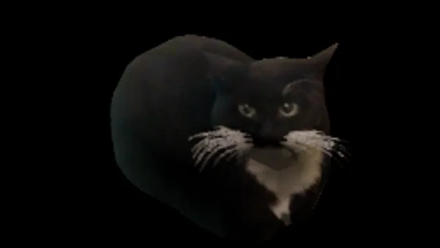 dingus