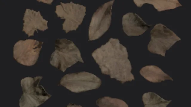 leaves scatter