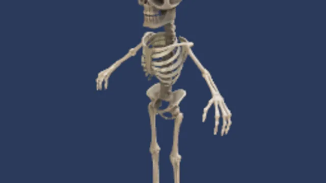skeleton