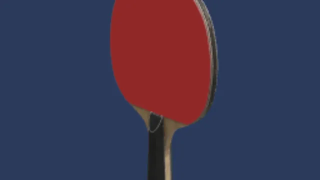 table tennis paddle