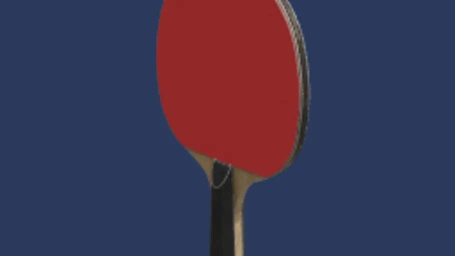 table tennis paddle