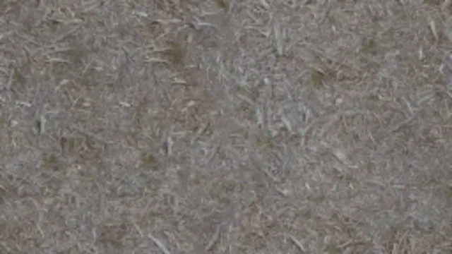 Grass Forest 1