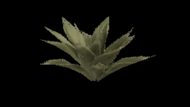 Agave A