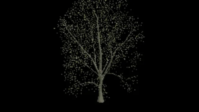 american_beech_a_dead