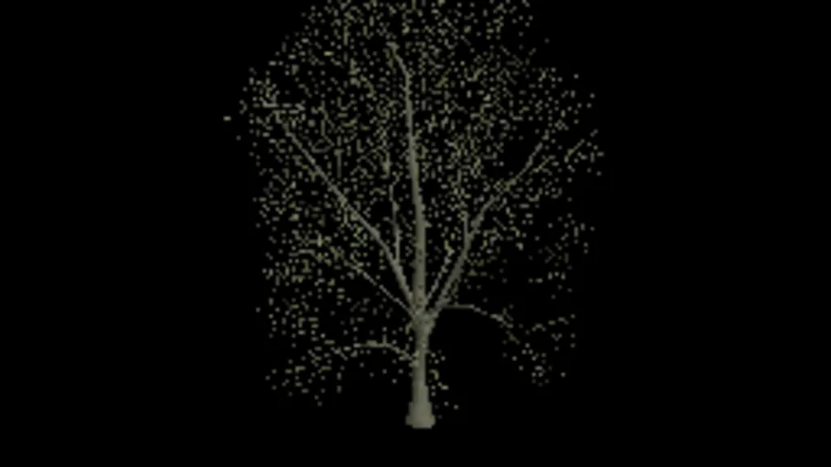 american_beech_a_dead