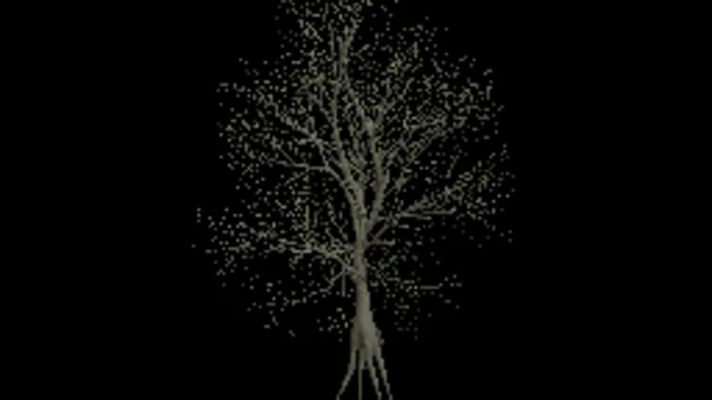 american_beech_d_dead