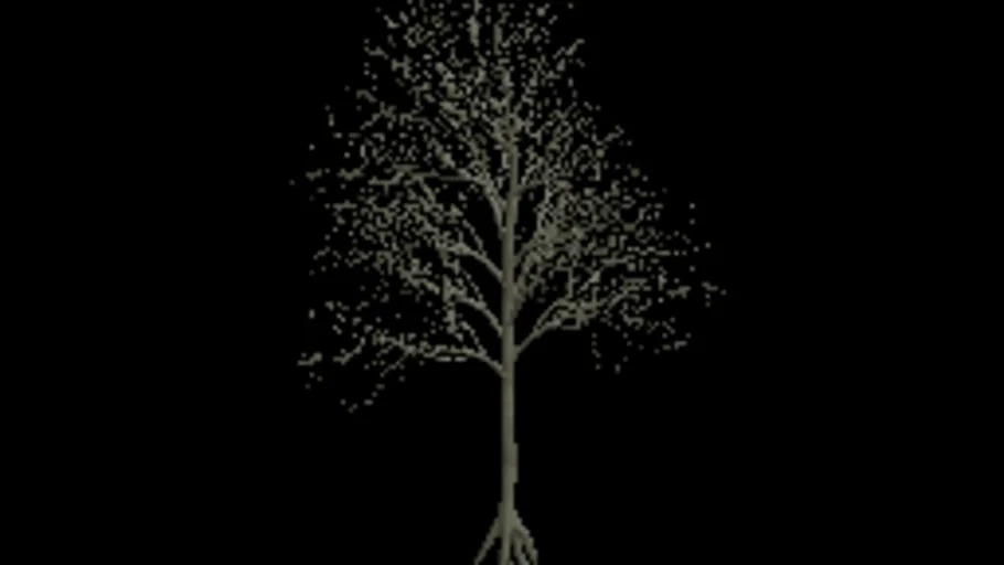 american_beech_e_dead