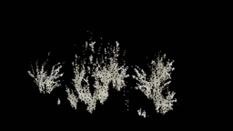Arctic Grass D