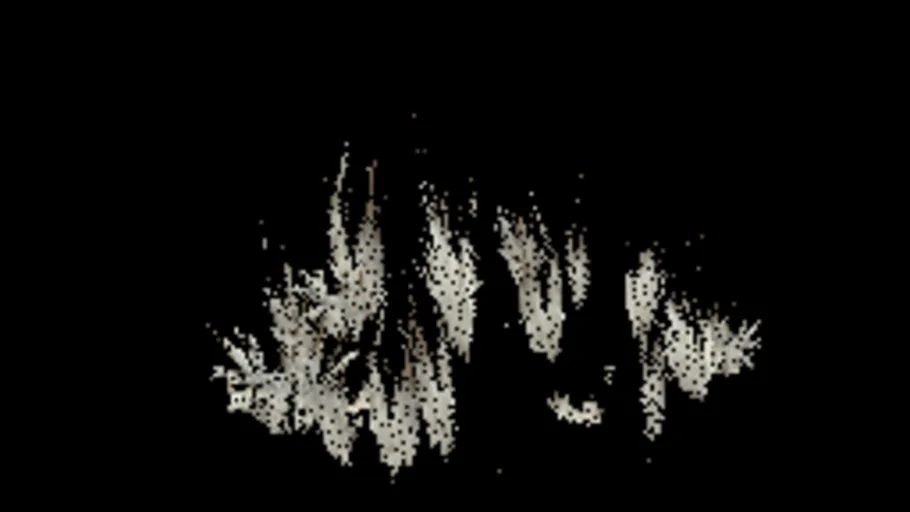 Arctic Grass F