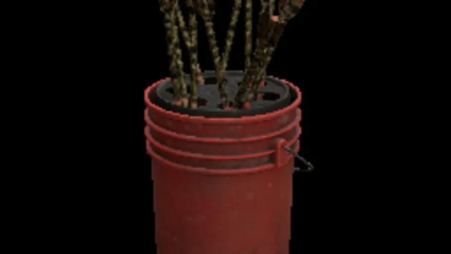 Arrowbucket B