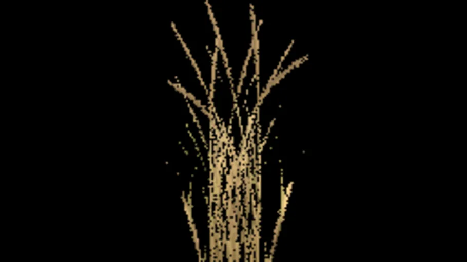 Beach Grass A