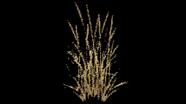 Beach Grass B