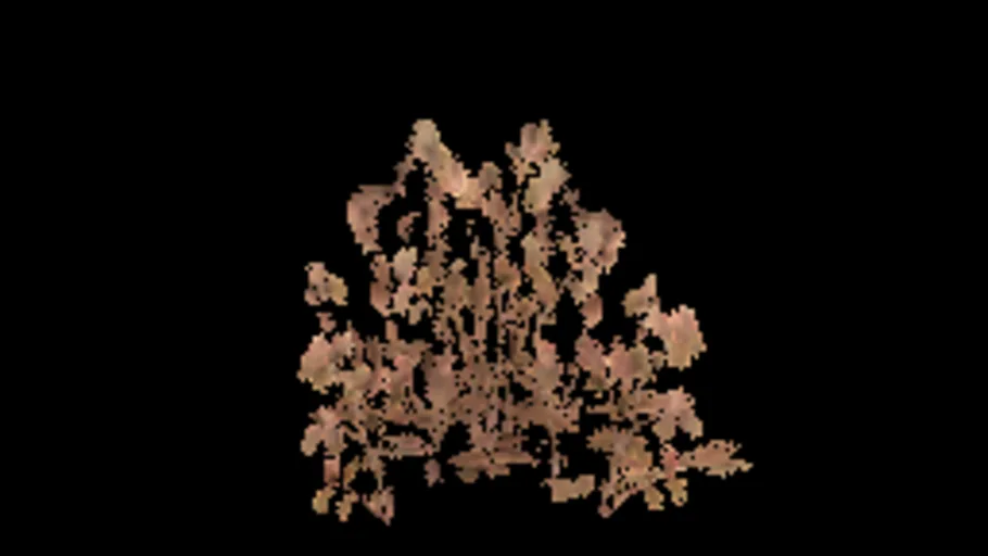 Bearberry A