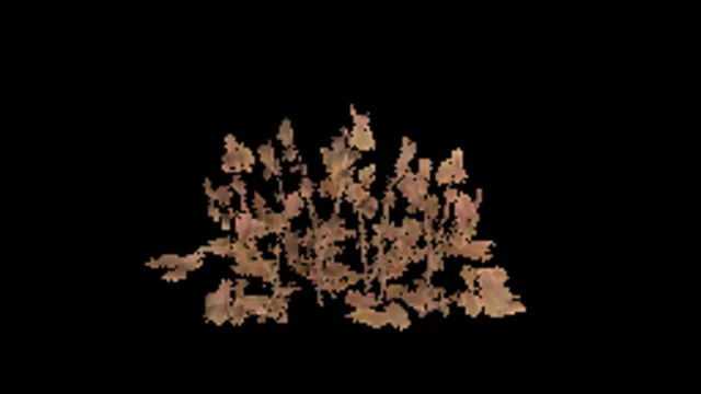 Bearberry B