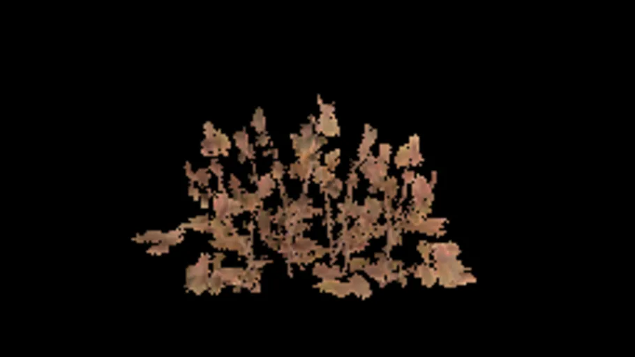 Bearberry B
