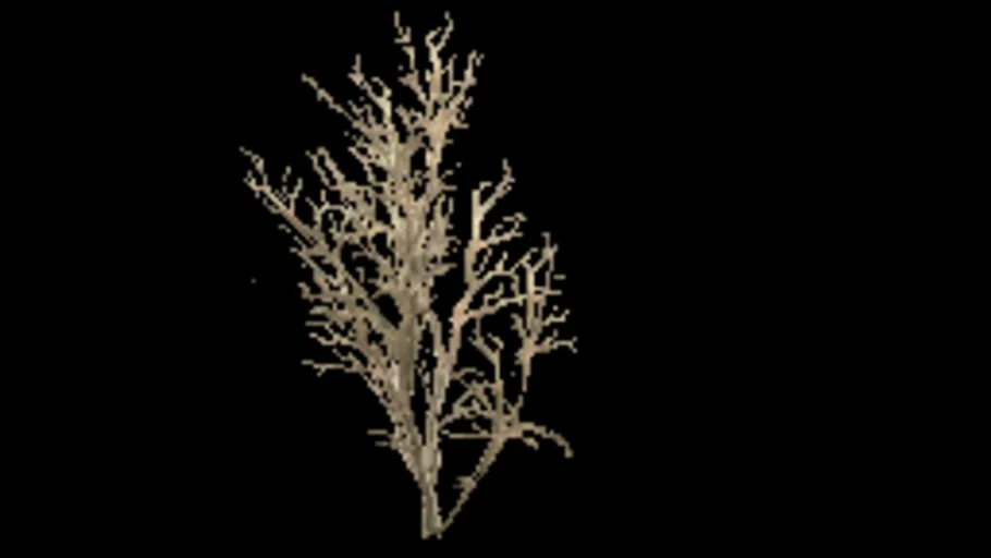 bush_dead
