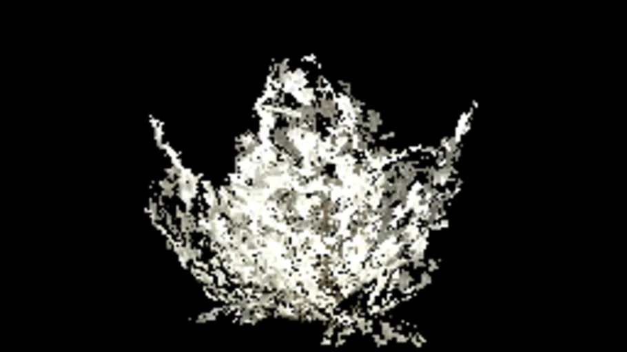 bush_large_dense_snow