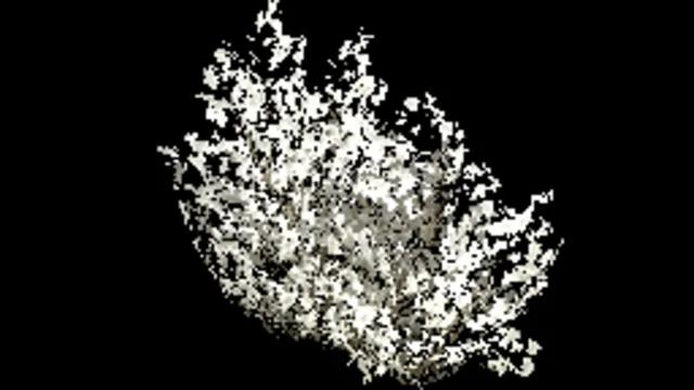 bush_large_spread_snow