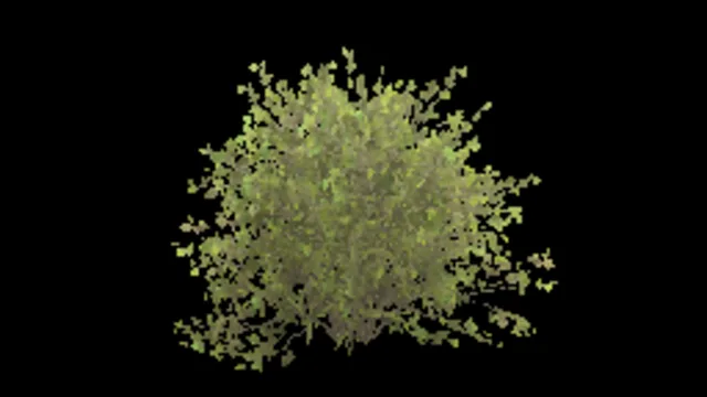 bush_willow_a