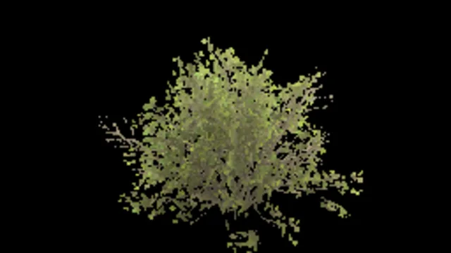 bush_willow_b