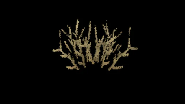 Cats Foot Grass C