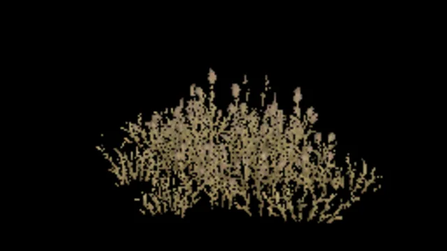 Cats Foot Grass E