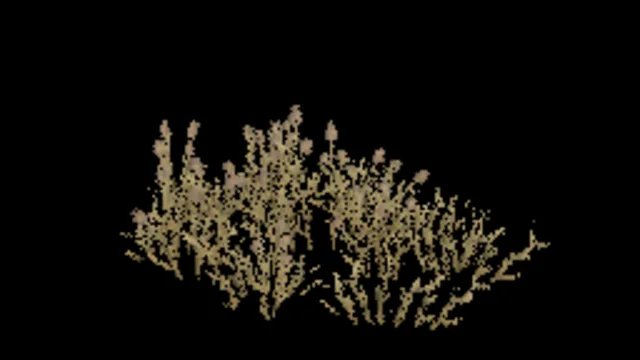 Cats Foot Grass F