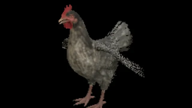 Chicken