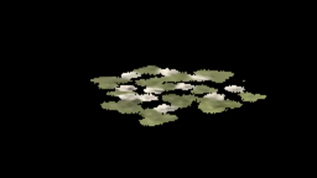 Clovers B