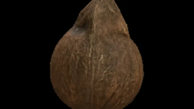 Coconut