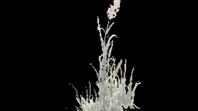 cracks_grass_b