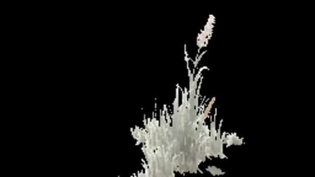 cracks_grass_c
