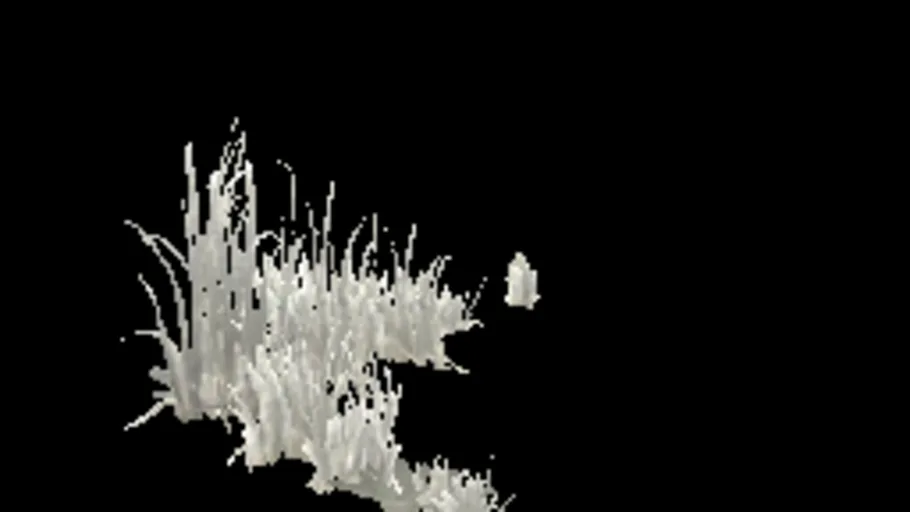 cracks_grass_i