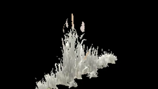 cracks_grass_j