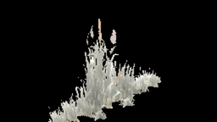 cracks_grass_j