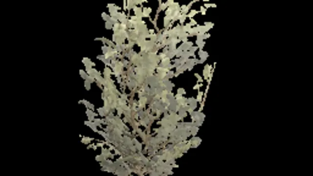creeping_bush_a
